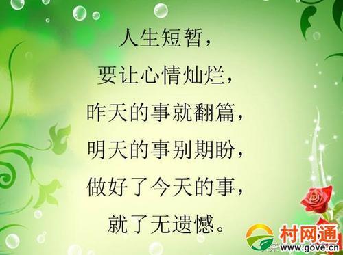 关于高兴的人生句子大全 人生最高兴的事莫过于