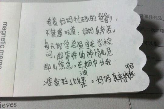 关于描写母亲外貌的优美句子大全 关于描写母亲的诗句