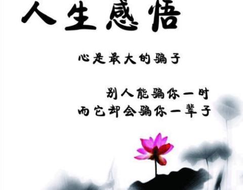 关于用人生编句子大全 关于人生句子大全凹凸世界