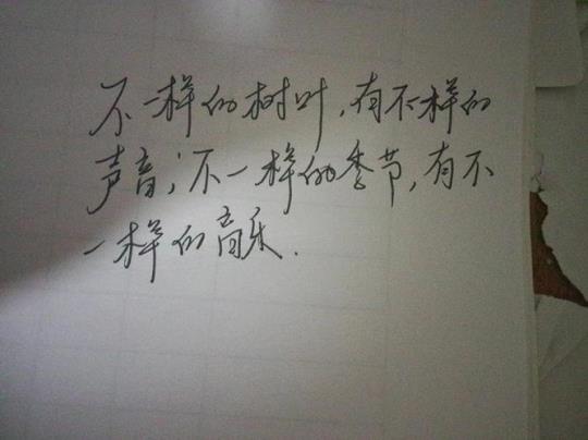 关于排比优美的句子90字大全 优美排比段落摘抄