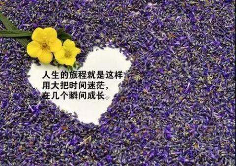 关于年龄大了感悟人生句子大全 关于年龄感悟人生的经典句子