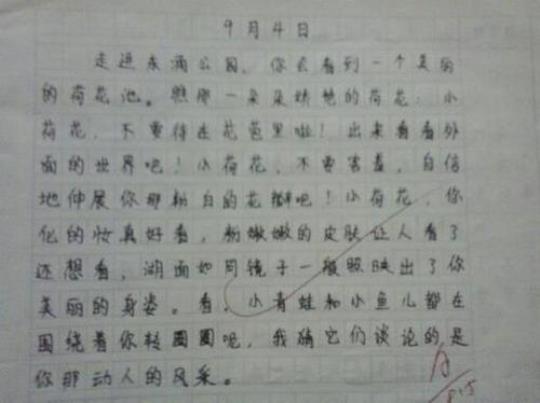 关于描写公园的优美句子160个字大全 关于描写公园的作文三年级作文