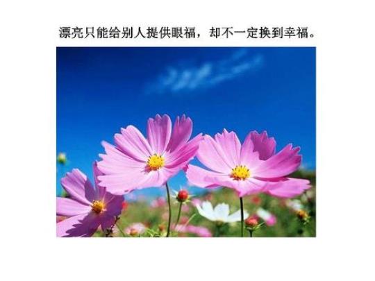 关于诉说人生的句子小大全 诉说人生的歌曲