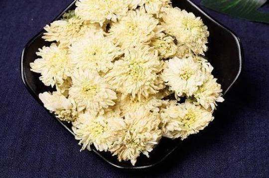 关于菊花泡水表达的是句子大全 关于菊花泡水喝用看摸闻尝听一篇作文