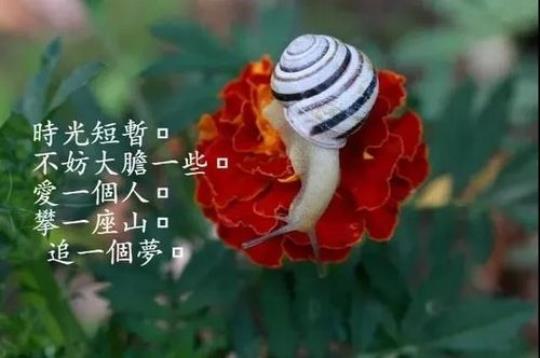 关于转发朋友圈感悟人生精辟句子大全 关于转发朋友圈的通知怎么写