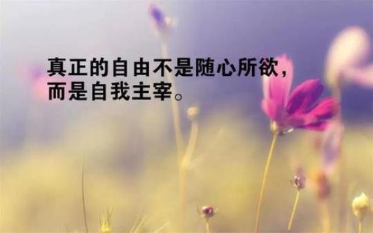 关于人生经历的正能量句子大全 关于人生经历的作文标题