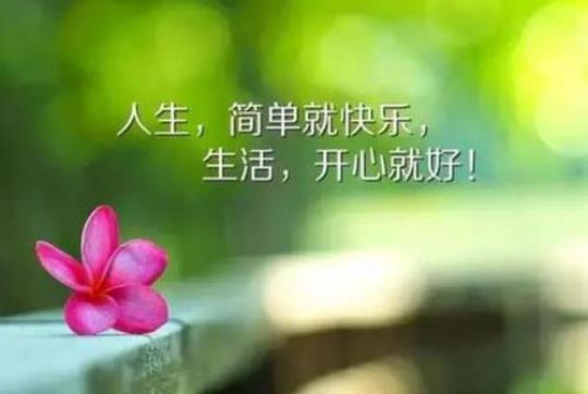 关于人生的成长句子大全 关于人生成长的作文800