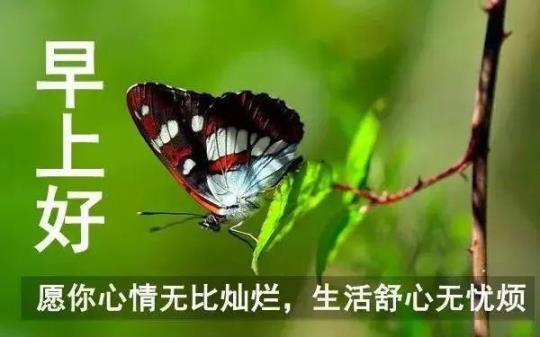 关于人生从清早做起句子大全
