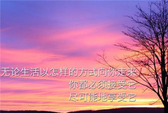 关于优美句子霸气社会大全 关于优美句子的网名