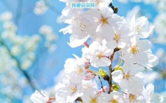 关于旅游阳光的短句子说说心情短语大全 三亚阳光旅游卡