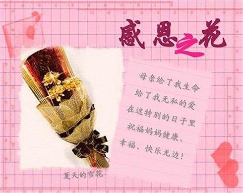 关于母亲的英语优美句子大全 关于母亲英语作文60字