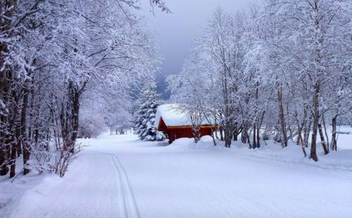 关于表达雪景的英文句子大全 表达雪景的诗句