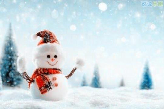 关于下雪心情美好的句子大全 关于下雪心情不好的文案