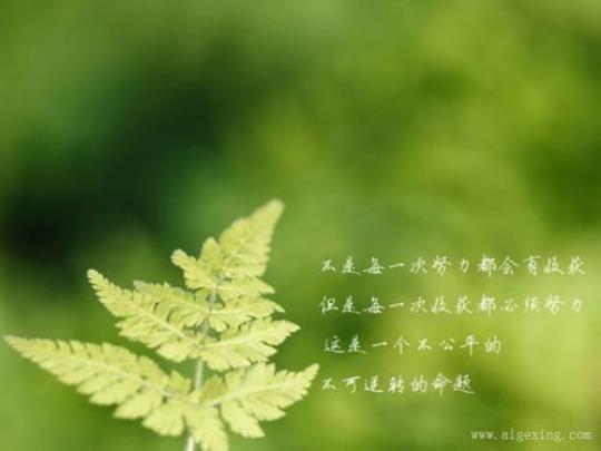 关于形容自己很个性句子说说心情大全 关于形容自己的词语