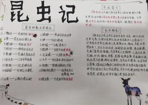 关于昆虫记的书的优美句子大全 关于昆虫记优美词汇