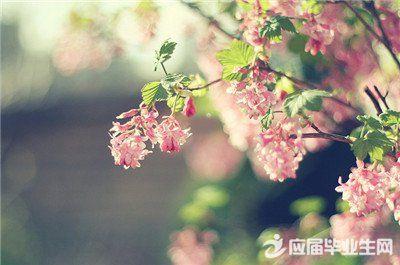 关于梦想与春天的优美句子大全 沈阳梦想春天幼儿园