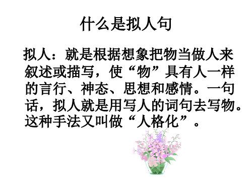关于有拟人写表达自己感情的句子100大全 拟人表达效果