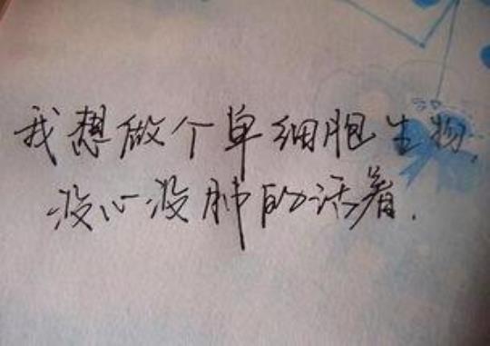 关于20个句子优美大全