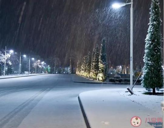 关于雪的逗比句子说说心情大全 雨后的心情经典句子
