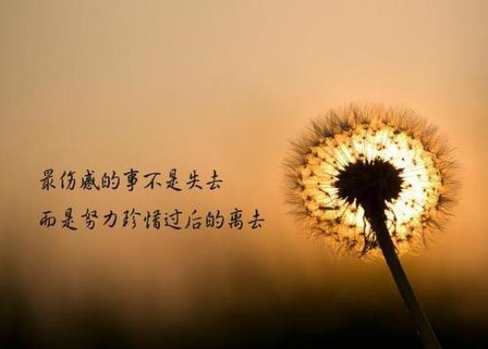 关于努力失去希望的句子说说心情大全 在努力在失去