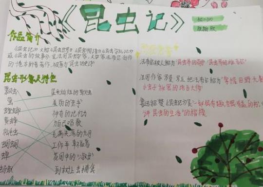 关于昆虫记里的优美句子大全 关于昆虫记优美词汇
