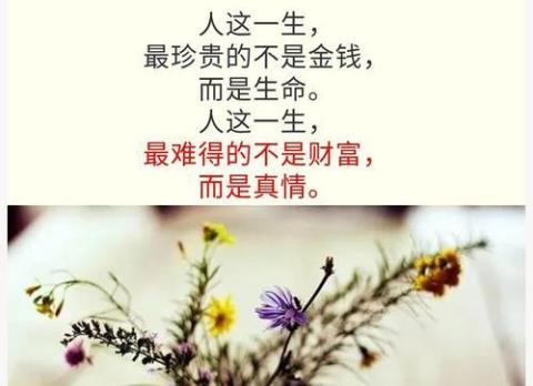 关于珍惜人生的相遇的句子大全 关于珍惜人生的名言名句