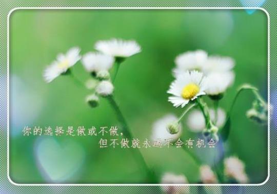 关于女人奋斗霸气的句子说说心情大全 关于女人奋斗的电视剧秦芳