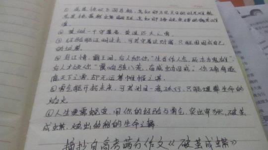 关于字数多句子优美大全 英语作文凑字数的句子