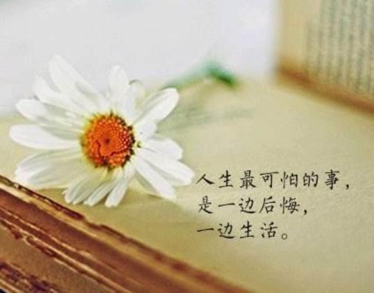 关于人生处事不急躁的句子大全 关于人生处事的书籍