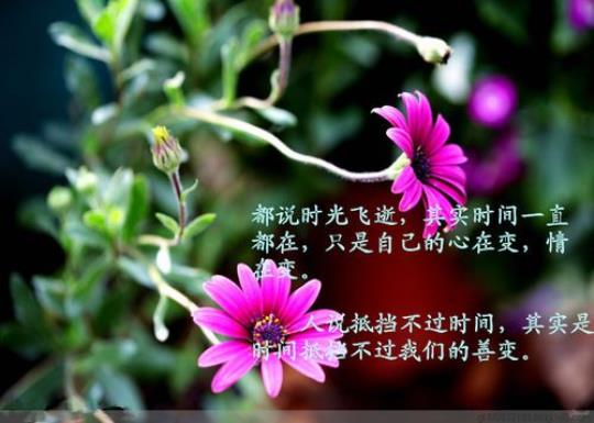 关于简短的感悟人生句子大全 平凡的世界简短感悟