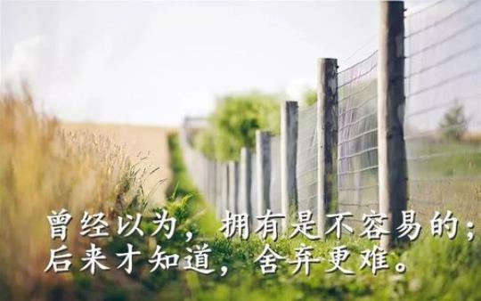 关于含人生哲理伤感的句子大全