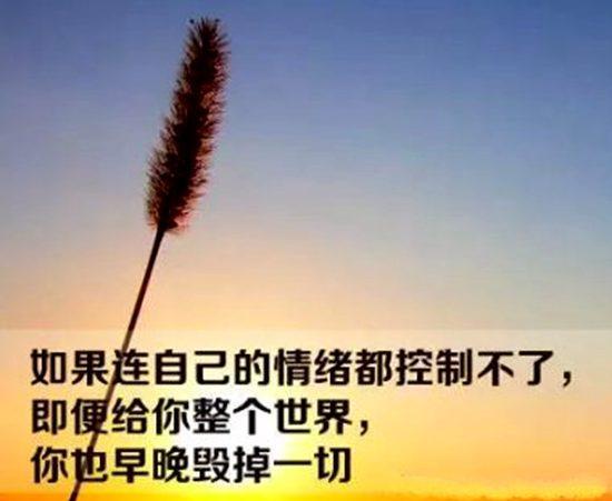 关于人生感悟说说句子大全 关于人生感悟的句子发朋友圈