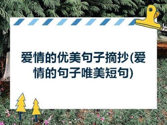 关于爱情开头优美句子大全 关于爱情开头的句子