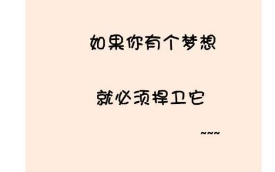 关于人生理想句子大全 关于人生理想的作文800字