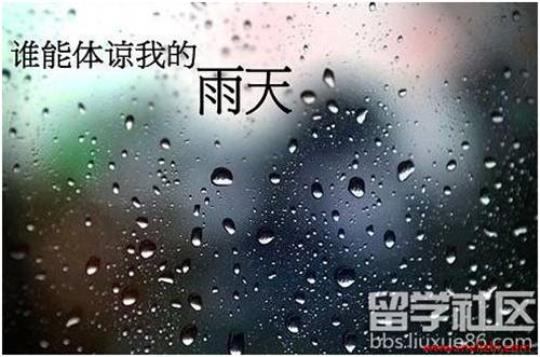 关于描写雨天前的优美句子大全 关于描写雨天的作文开头