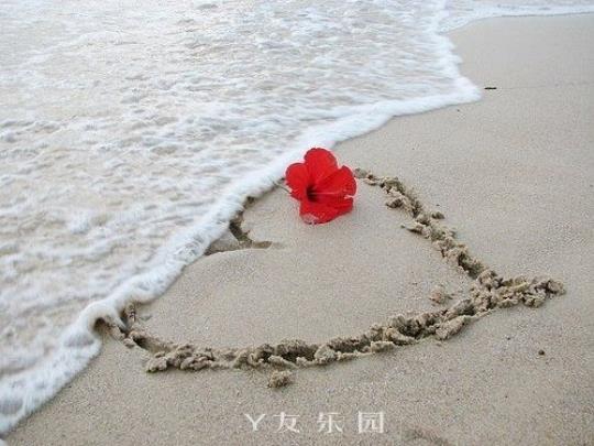 关于超拽励志句子说说心情短语大全 关于励志句子简短