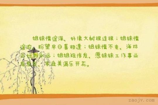 关于表达姐妹的句子大全 关于表达姐妹情深的句子