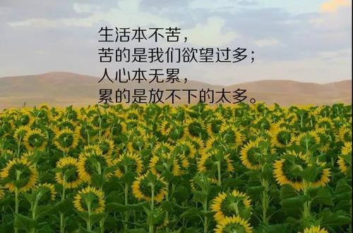 关于描写人生短的句子大全 关于描写人生的句子