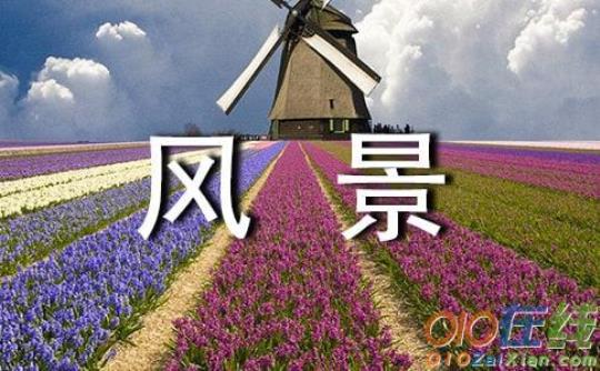 关于描写优美风景的句子摘抄大全 关于描写优美句子的段落
