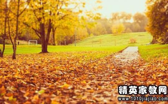 关于写风景的优美的句子大全 关于风景优美的作文300字