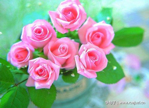 关于比喻女人是花的句子是大全 暗香浮动比喻女人