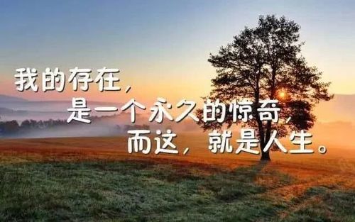 关于感悟人优美句子大全 生活感悟优美句子
