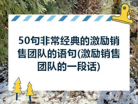 关于表达团队的英语句子大全 表达对团队的感情