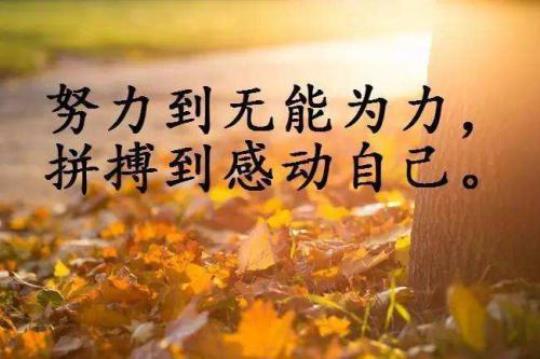 关于抖音上的人生感悟句子大全 抖音人生模拟器攻略答案